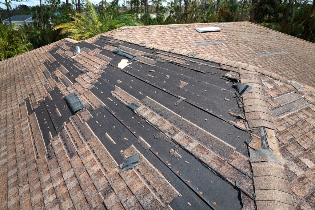 Roof Repair Services in Gallatin, TX